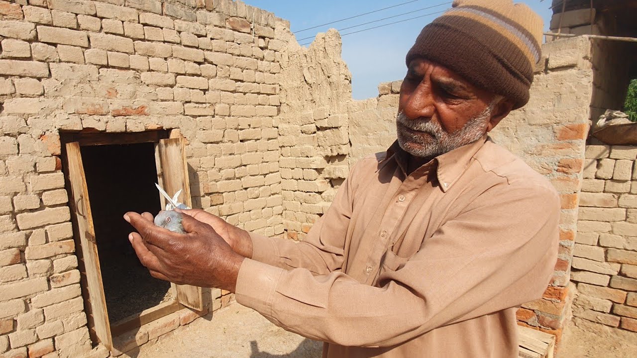 Aisay Golden Kabotar Jin k bCahy Kamzoor b parformnace detty