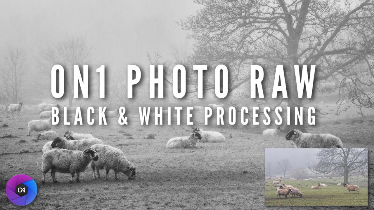 The Excellent On1 Photo RAW Black and White Conversion Filter