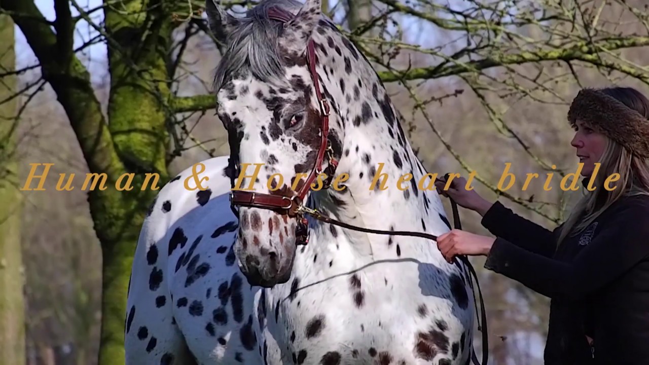 Human & Horse Heart Bridle (Kaptoom) by Greetje Arends-Hakvoort