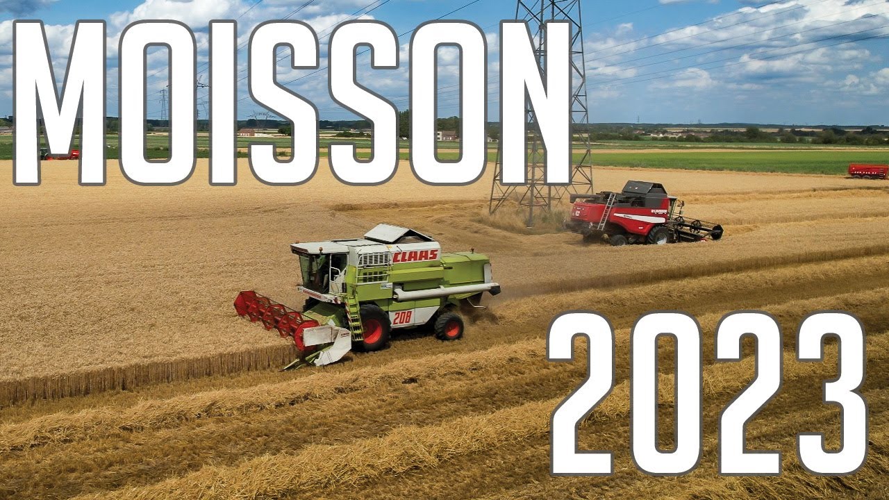 Moisson 2023 avec les deux moissonneuses de l'Earl du Grand Chemin (FR.59)