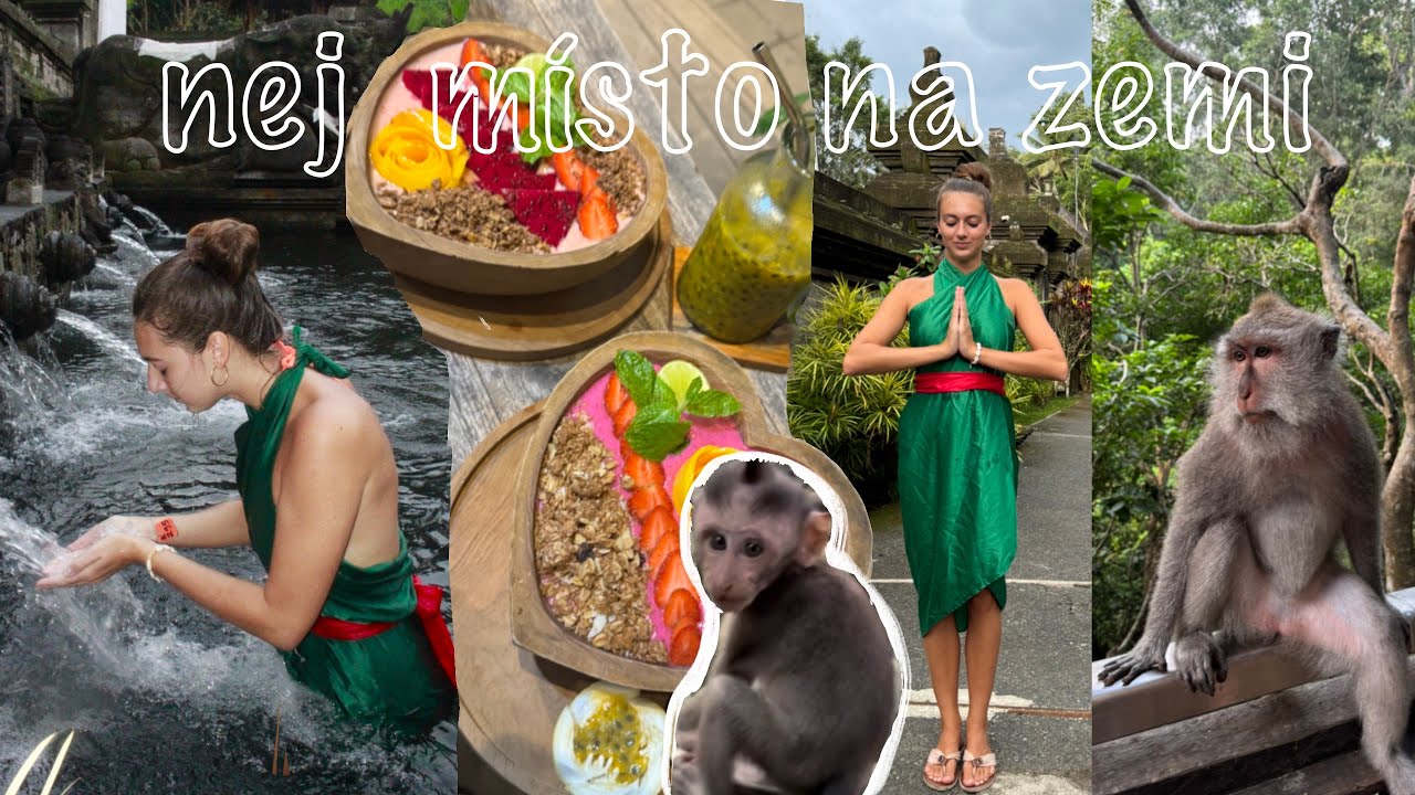 Lepší už to být nemůže😍BALI - Ubud VLOG🌴🐒💚