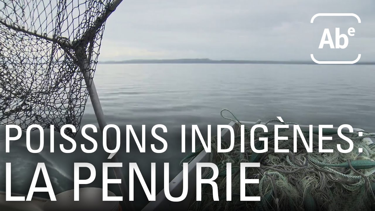 Poissons de nos lacs, en danger. ABE-RTS