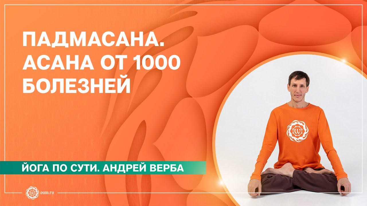 Падмасана. Асана от 1000 болезней. Андрей Верба