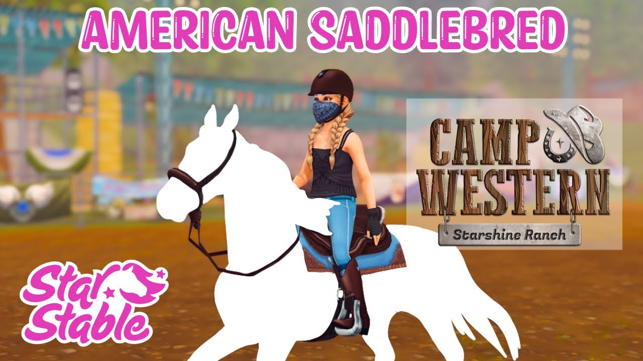 Wir KAUFEN die American Saddlebreds 😳😍 + Camp Western 🙌🏼🤠 Licya SSO