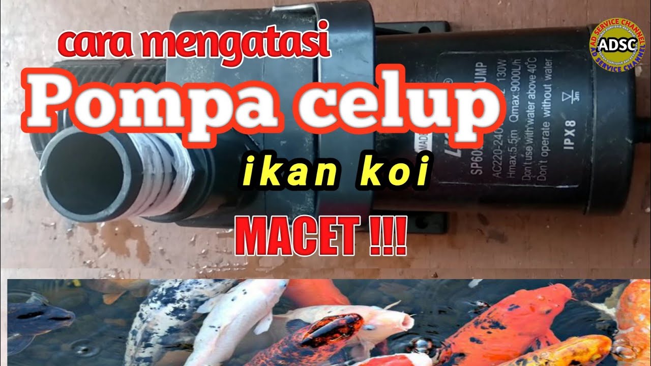 Servis Pompa Aquarium lifeTech