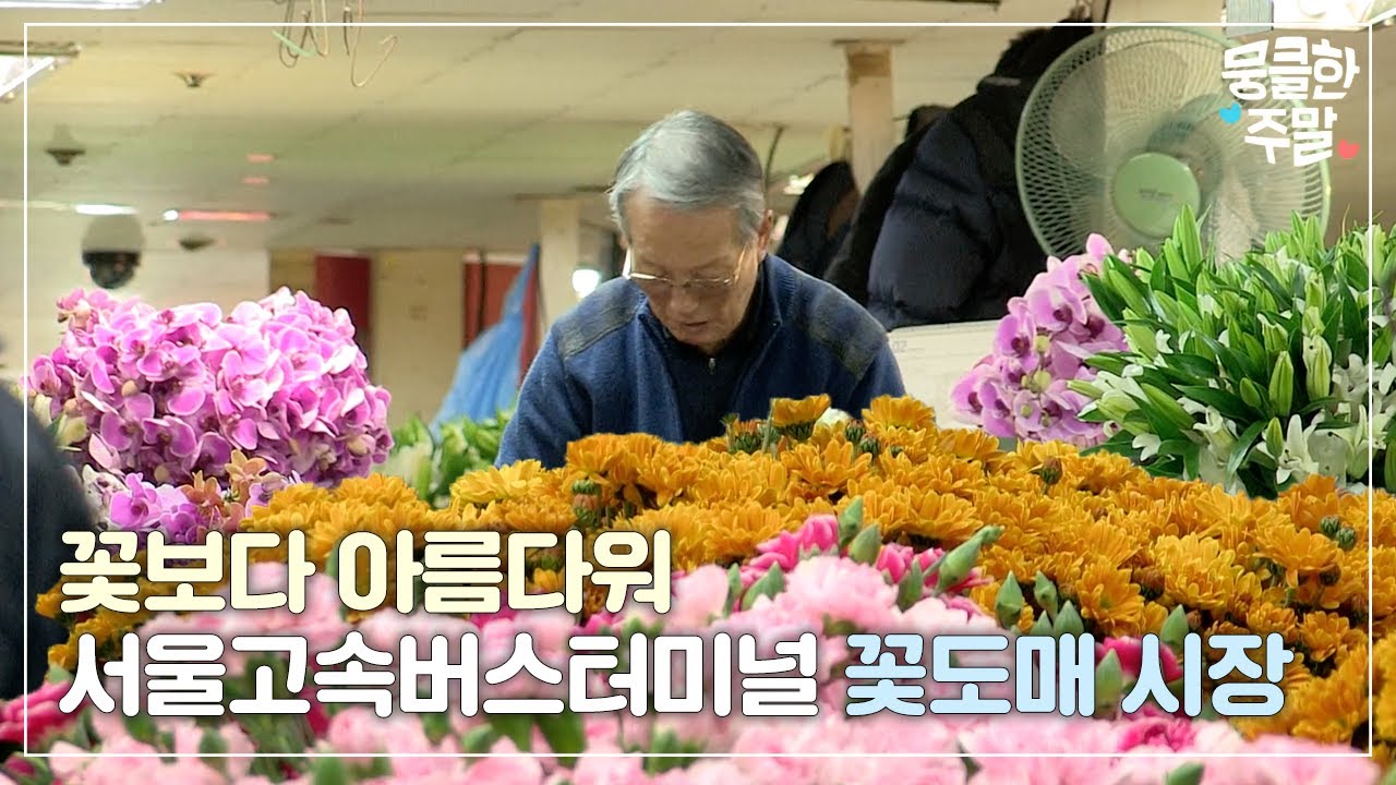 [뭉클한 주말🥰 #61] 꽃보다 아름다워 - 서울고속버스터미널 꽃도매 시장 72시간 [다큐3일 | KBS 20140223 방송]