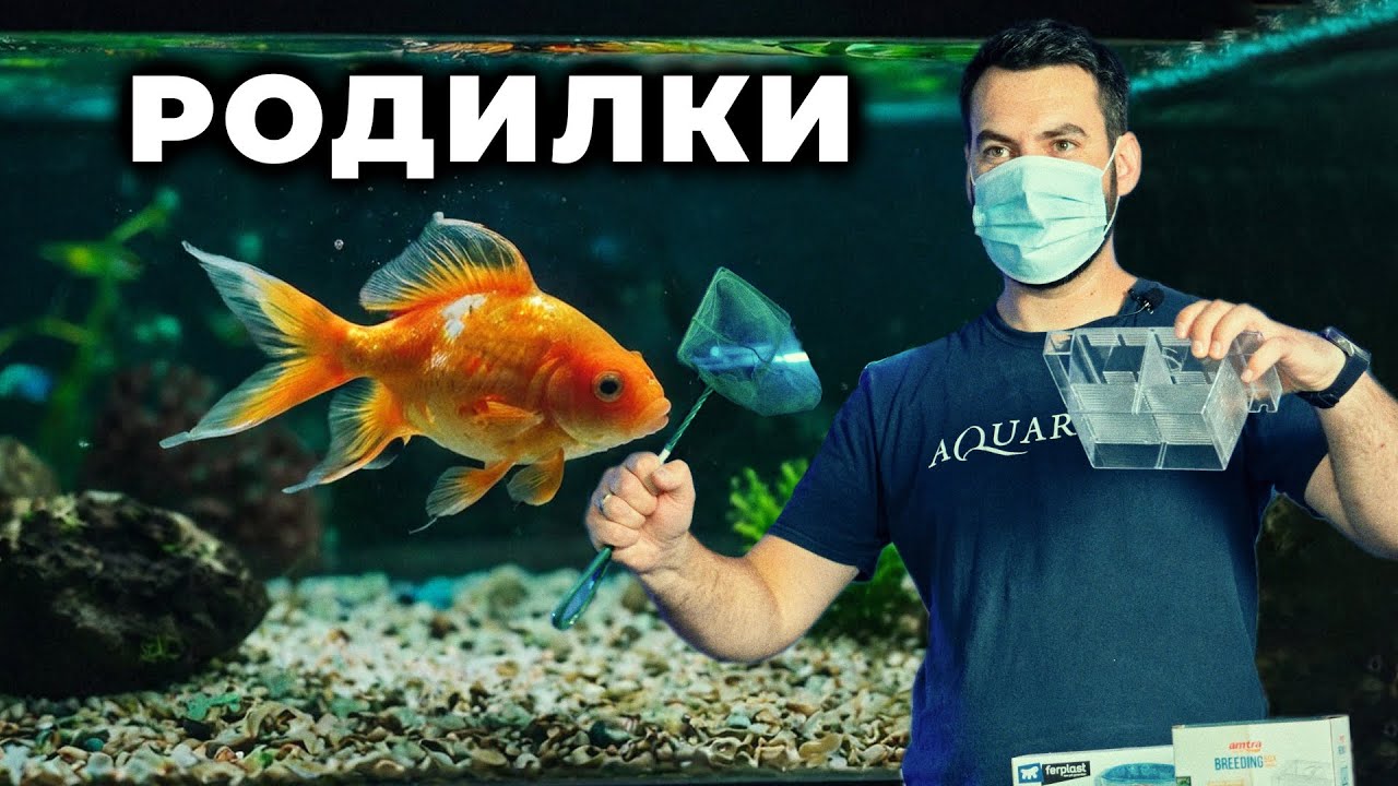 РОДИЛКИ ЗА РИБКИ | ЧАСТ 2