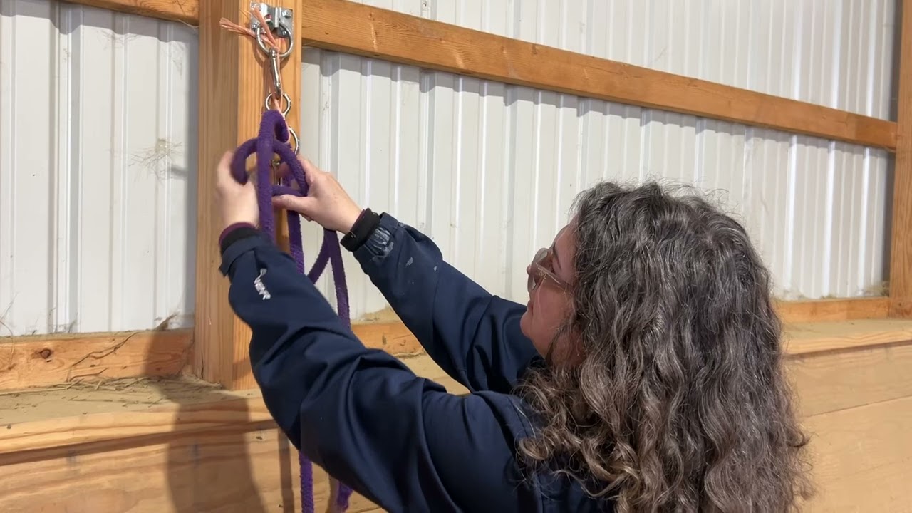 THS Training Video: Wall Tying Part 2 (March 2026)