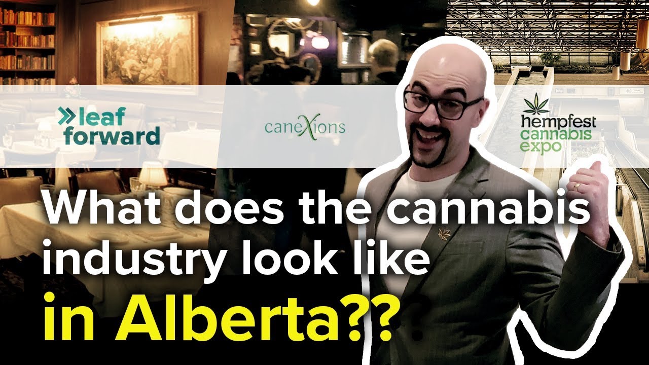 What does the cannabis industry look like in Alberta?