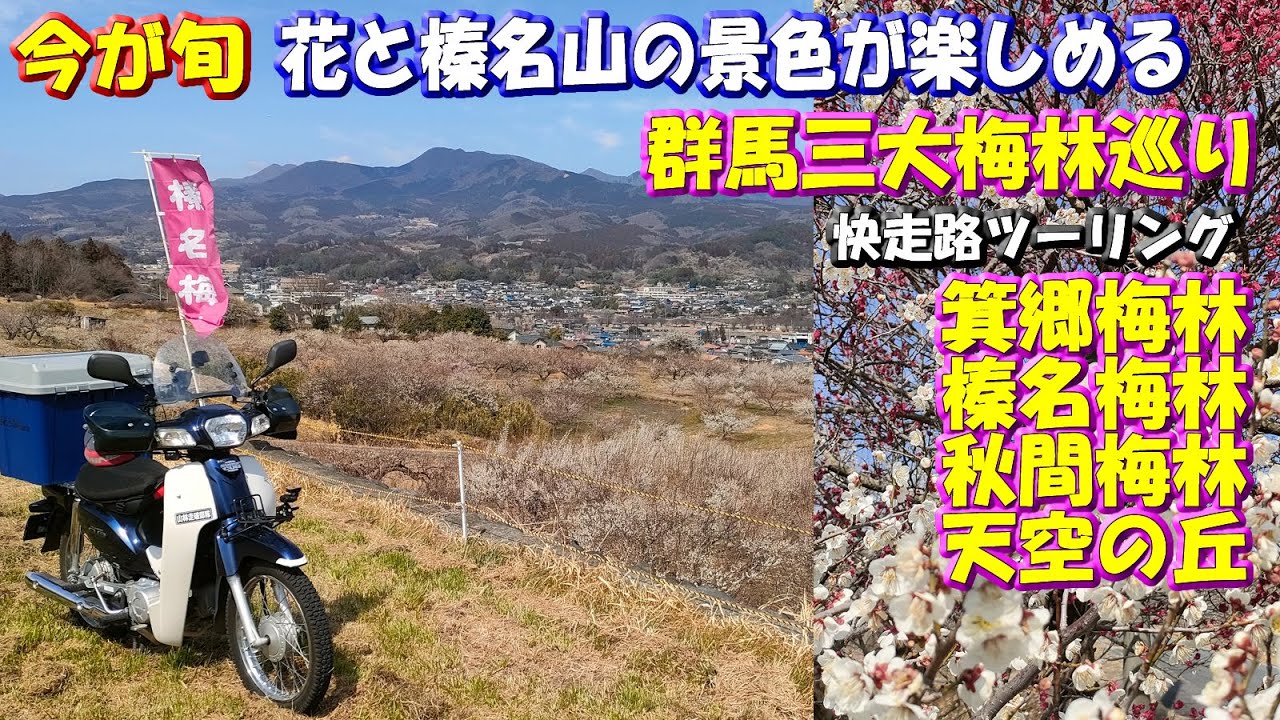 今が旬【群馬三大梅林巡り】花と榛名山の景色が楽しめる快走路バイクツーリング～箕郷梅林・榛名梅林・秋間梅林・天空の丘　#梅まつり #スーパーカブ