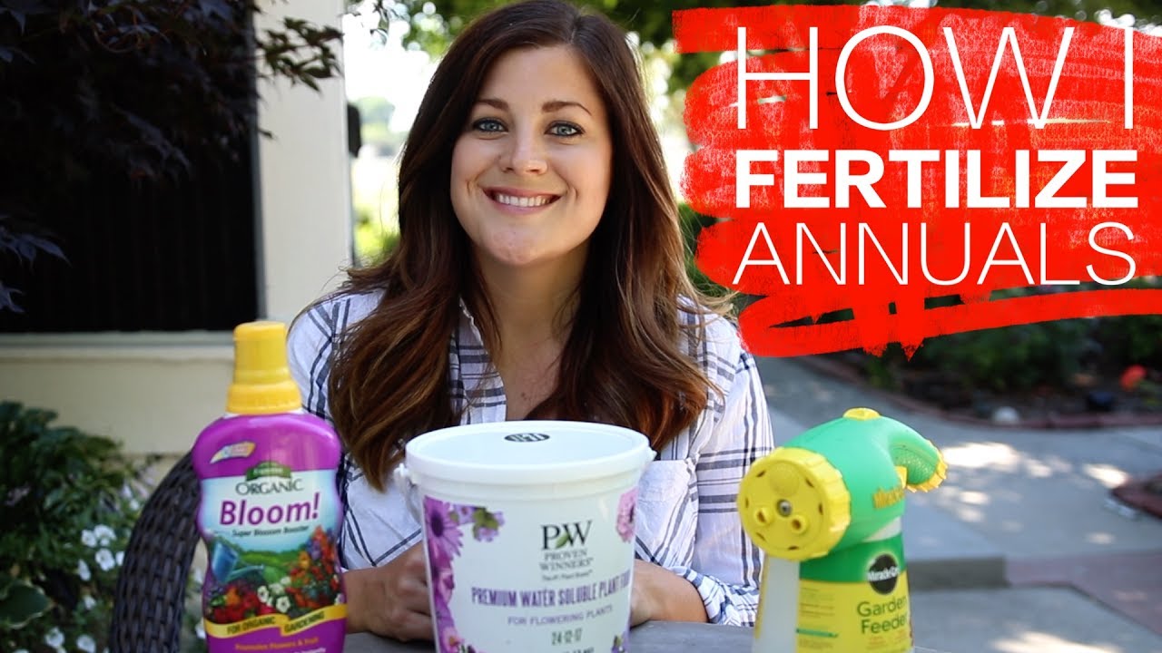 How I Fertilize Annuals // Garden Answer