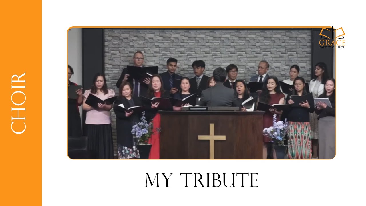 My Tribute