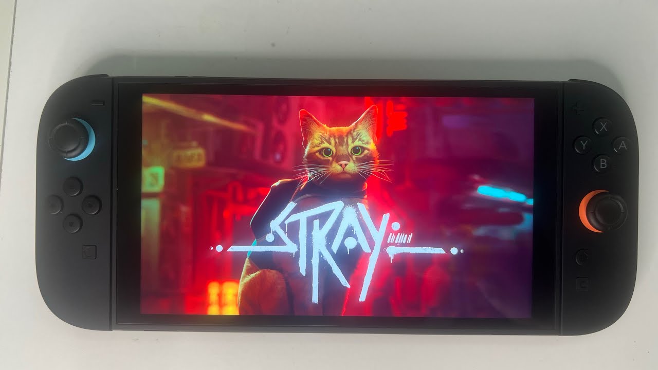 Stray Switch 2 Gameplay