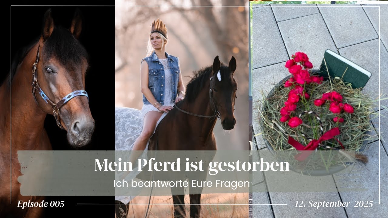 Der Tod von Canto I Ich beantworte transparent eure Fragen zum Tod meines Pferdes
