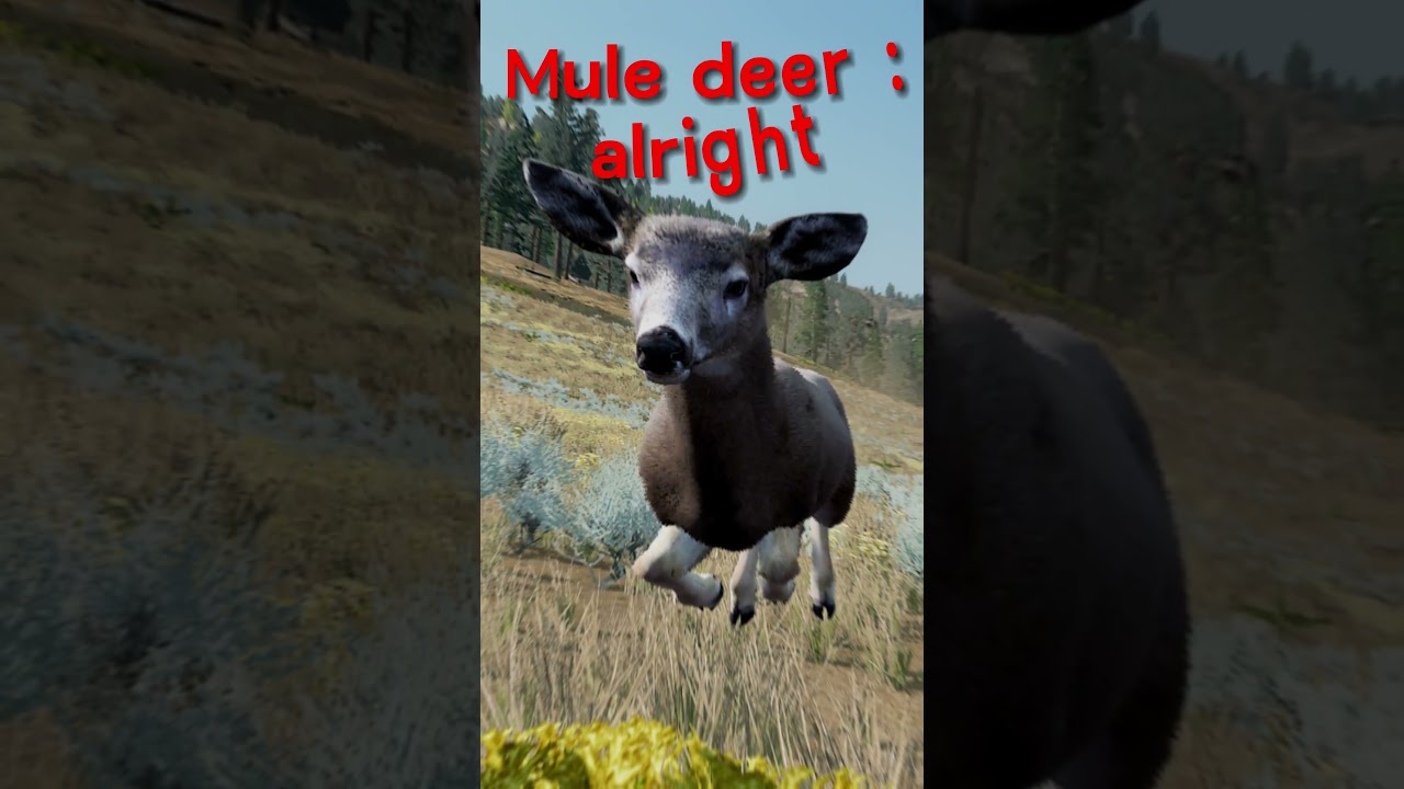 WolfQuest 3 AE | Ranking prey | ✨✨✨| #tiktok #shorts