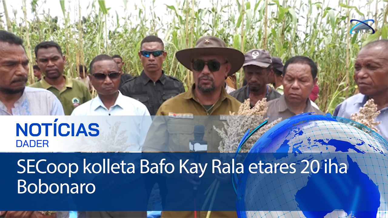 SECoop kolleta Bafo Kay Rala etares 20 iha Bobonaro