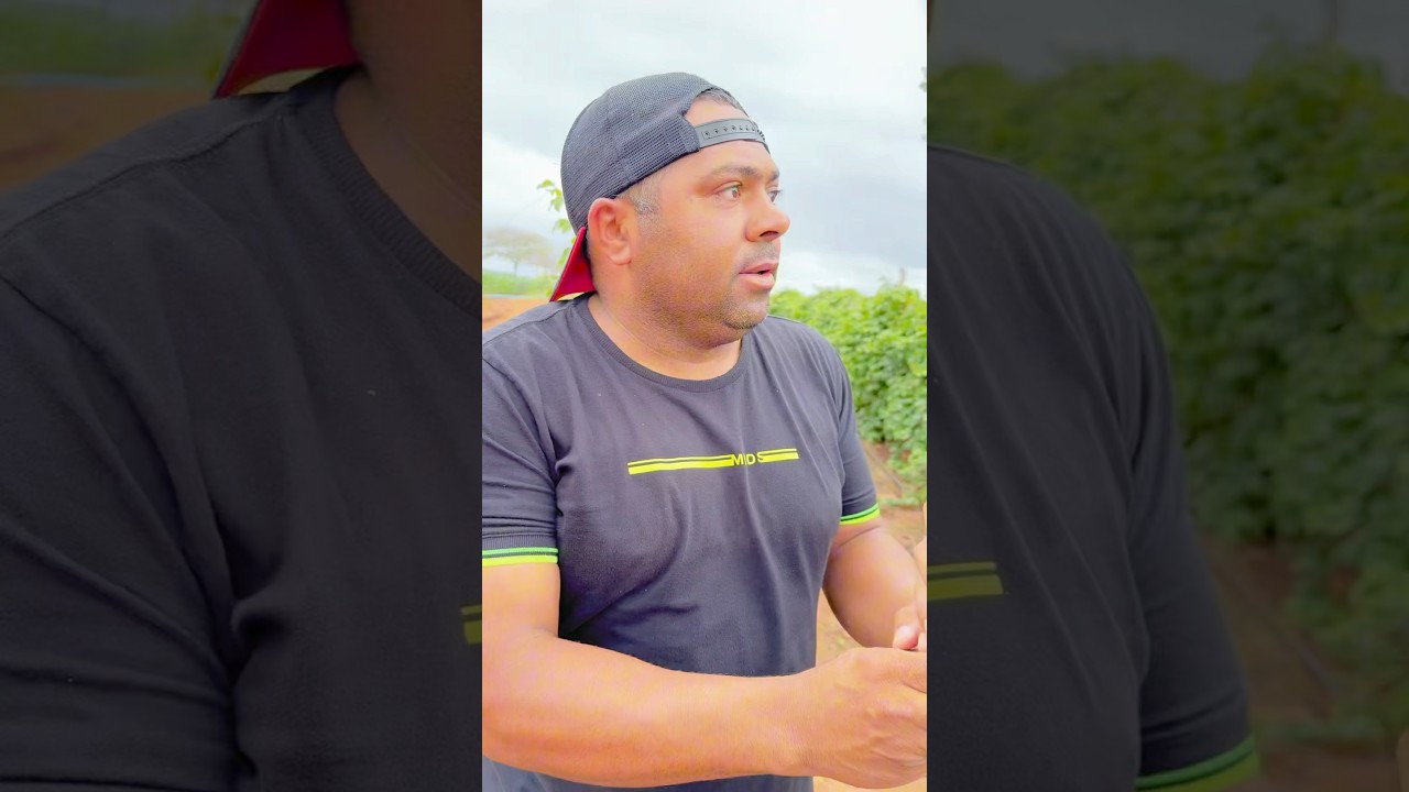 Zeca hoje enche a barriga #agro #humor #comediamemes ￼