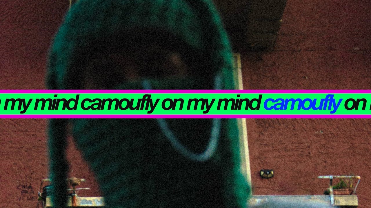 camoufly - on my mind