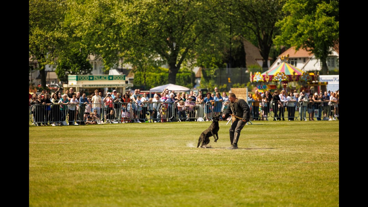 National Police Dog Trials - Tally Ho!