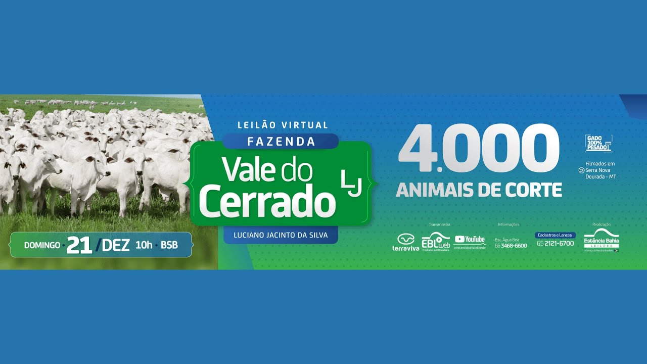 LEILÃO VIRTUAL FAZENDA VALE DO CERRADO | 21/12/2025 – 10H