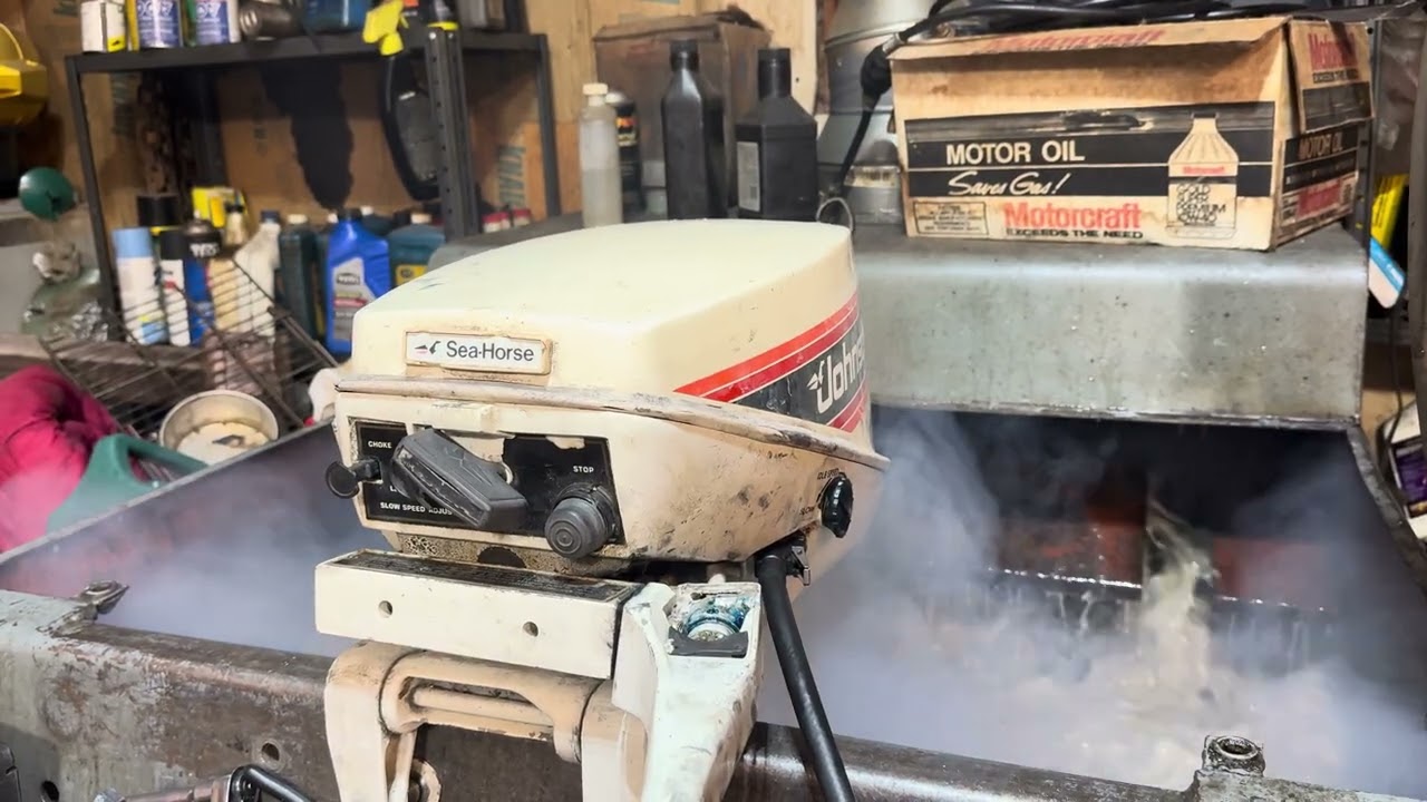 1981 Johnson 9.9hp fogging 