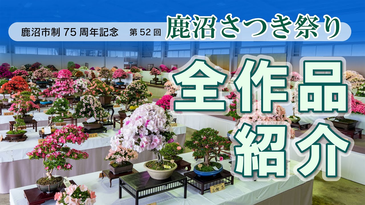 【第52回鹿沼さつき祭り】さつき大展示会の様子 Part1