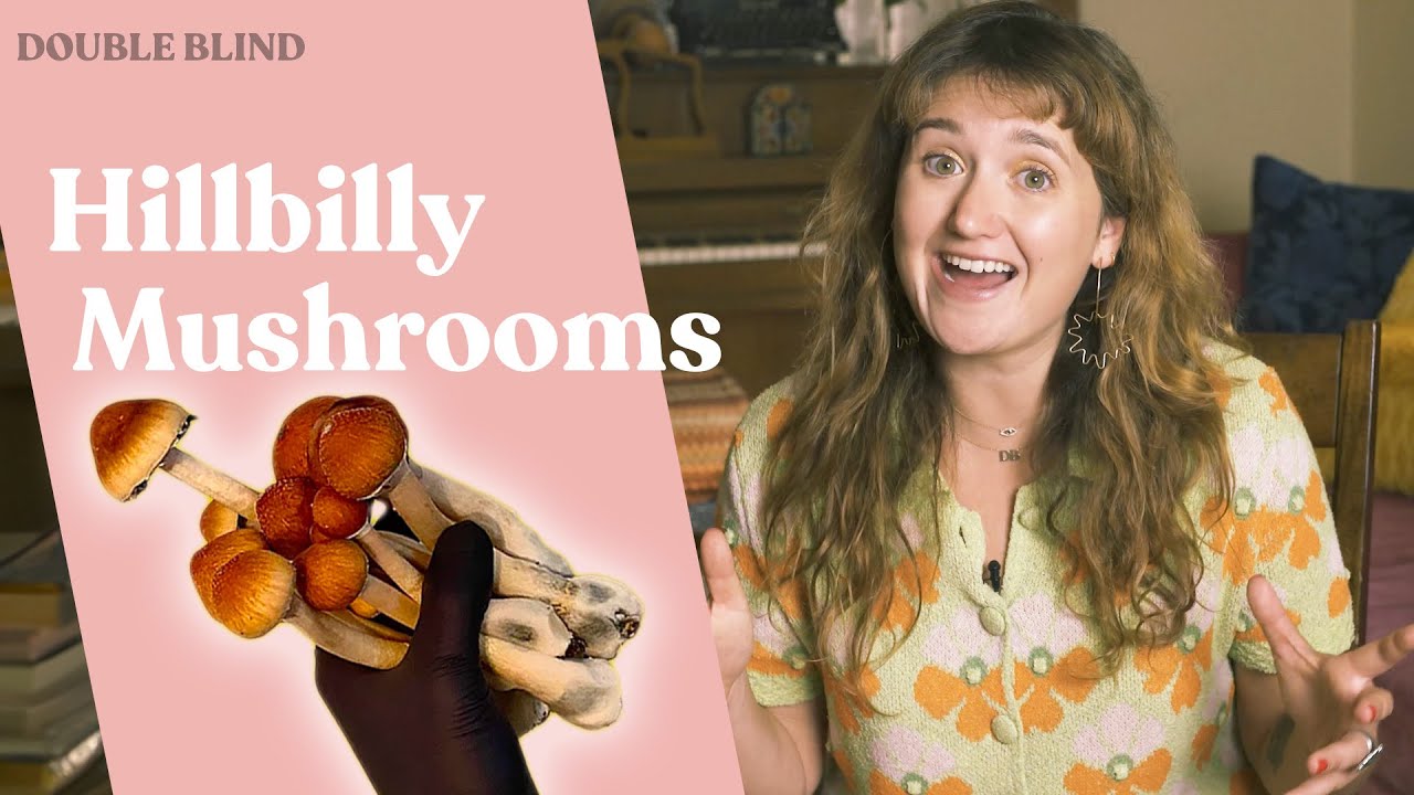 Hillbilly Mushrooms: What Are They? 🍄 | DoubleBlind