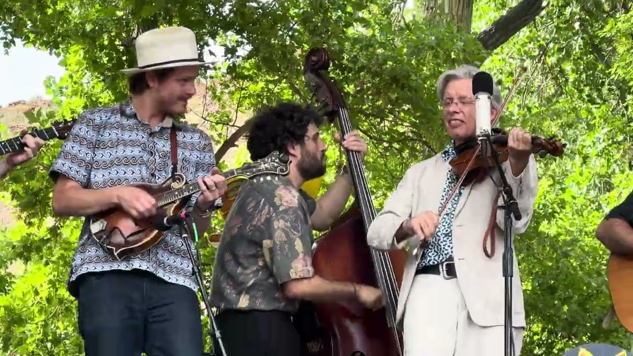 Darol Anger & Sam Grisman Project, 