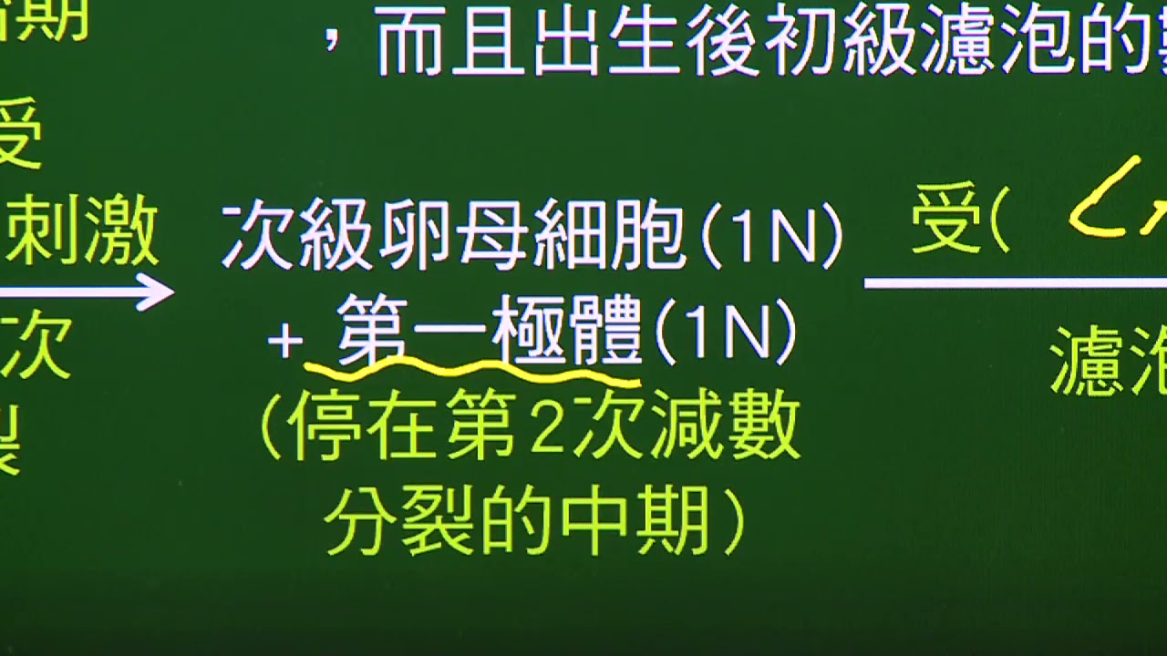 學習王/萬試通 生物 配子的形成