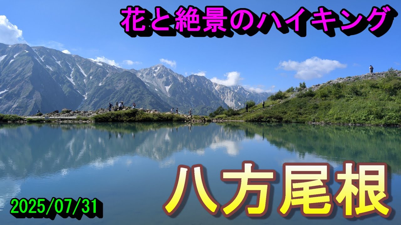 【ハイキング】花と絶景の日帰りハイク　八方尾根