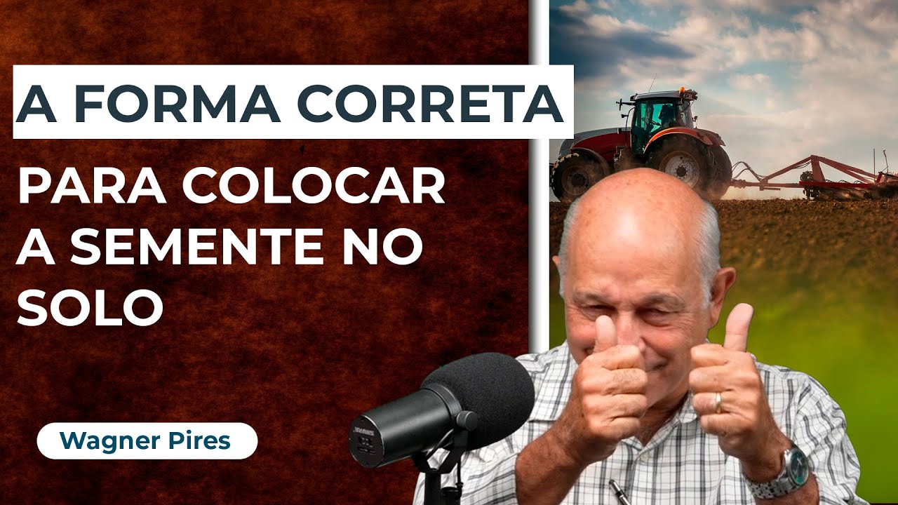 Como colocar a semente no Solo da Maneira Correta para melhorar o manejo de pastagem