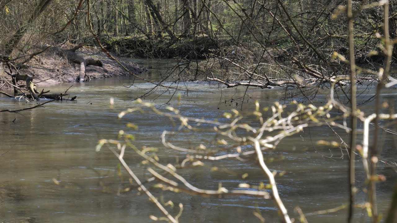 Wanderung durch die Bulau