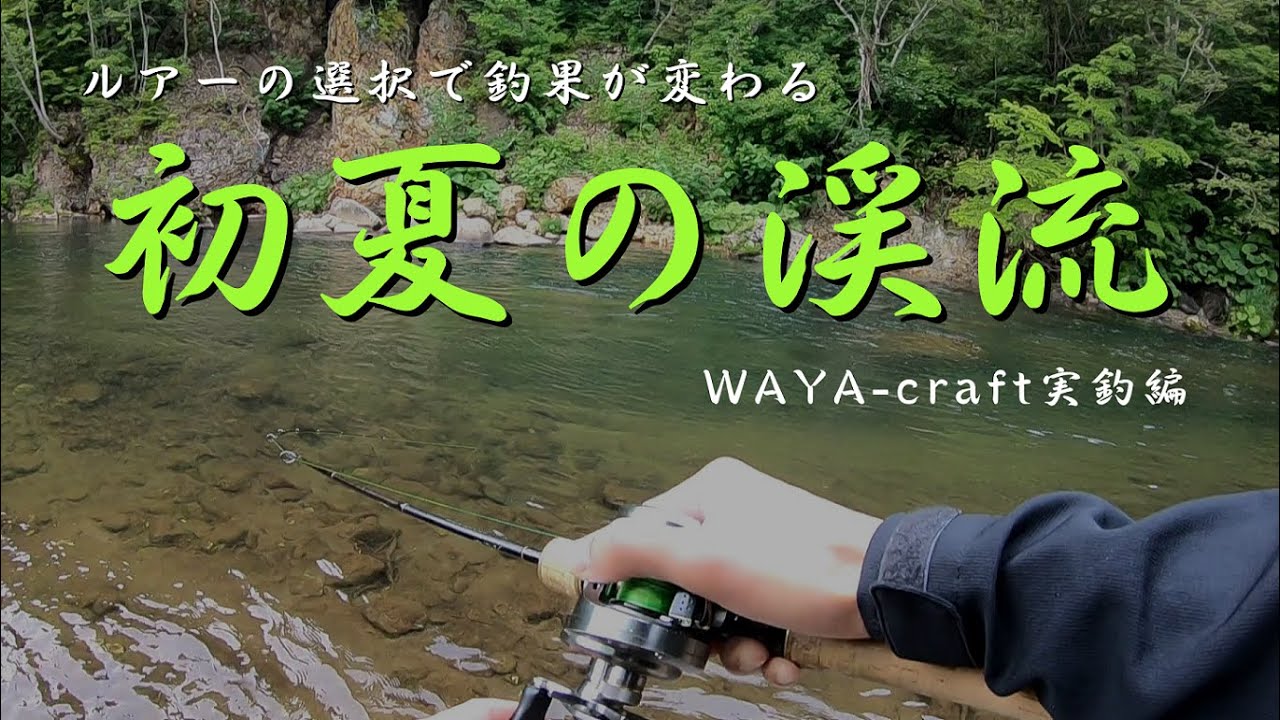 北海道渓流ルアーフィッシング「新作ミノーで初夏の渓流を釣り歩く」 ～WAYA-craft実釣記録～handmade lure fishing diary