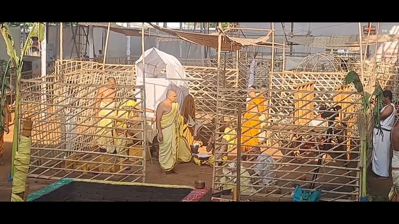 यज्ञ में आहुति देने के लिये कैसे निकाला जाता है सोम रस