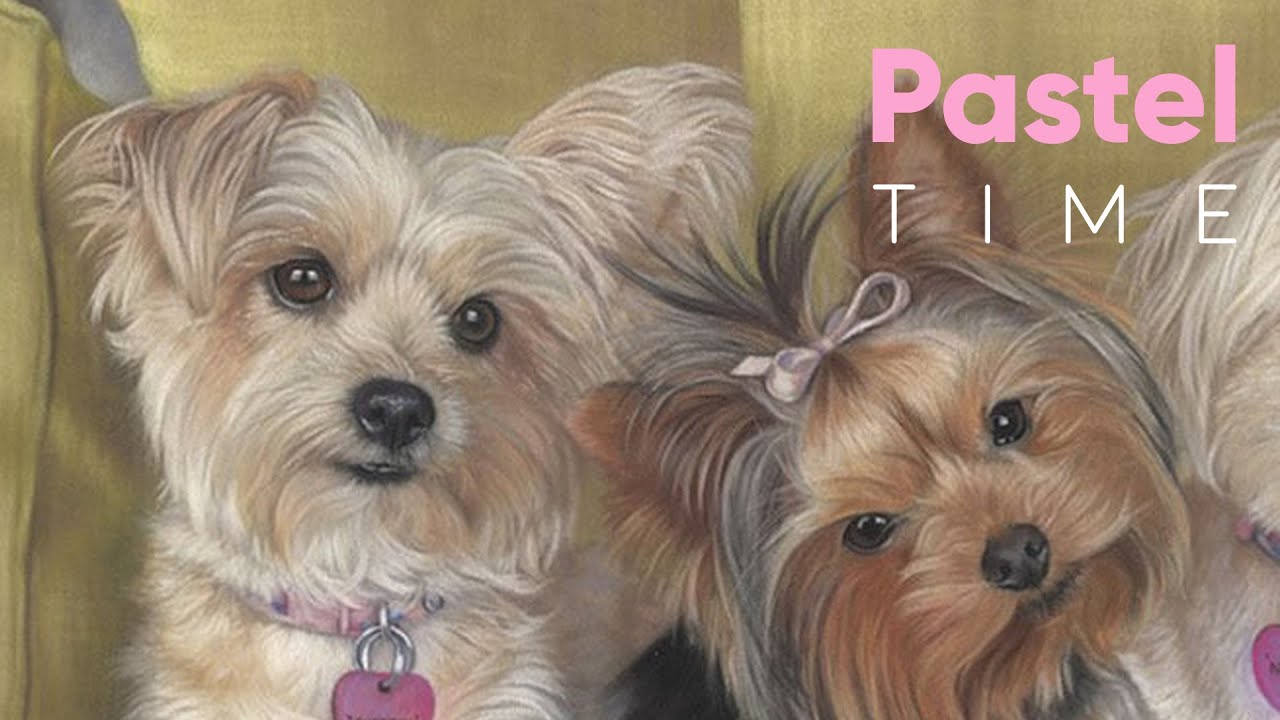 Three Dogs in Soft Pastel - Timelapse