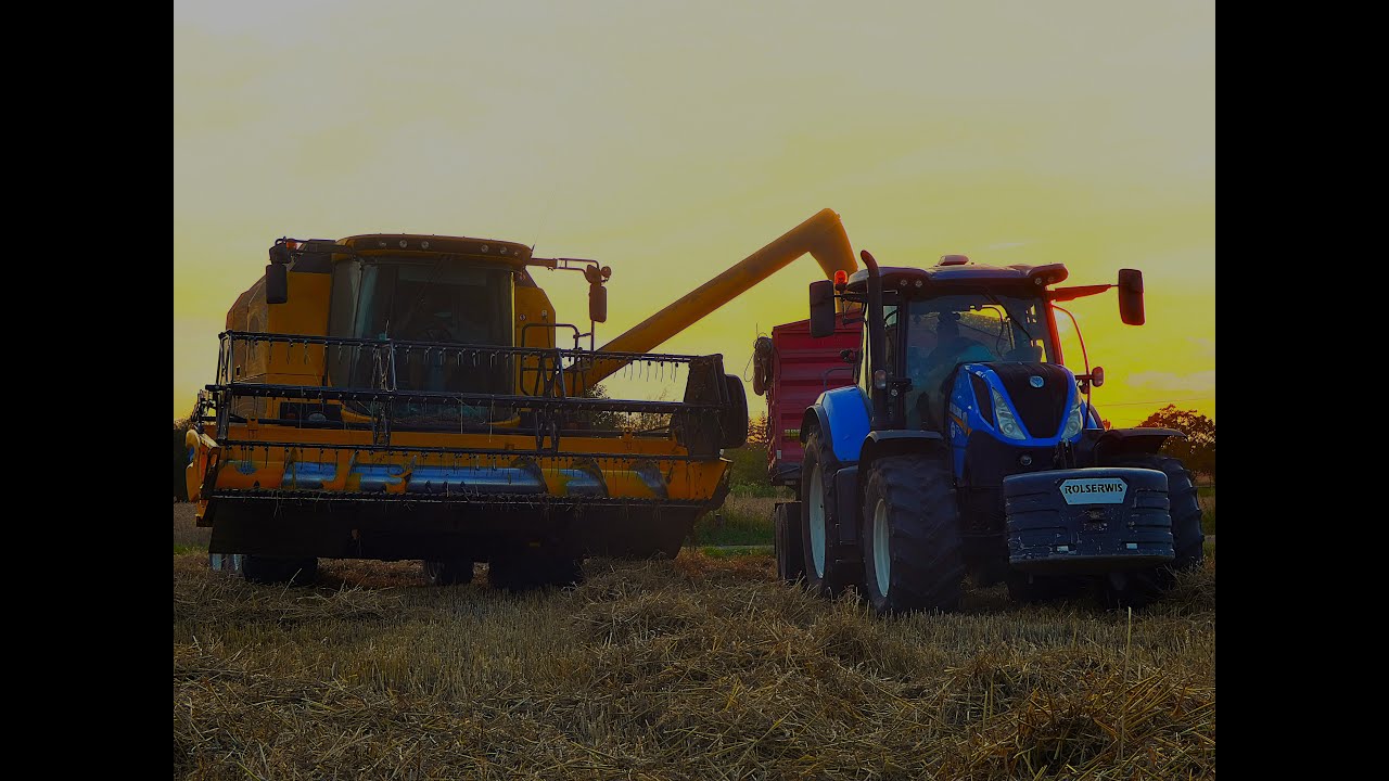 ✅️Młócenie pszenicy 2024✅️💙2x New Holland✅️TC5 70  i  T7 210😎🚨