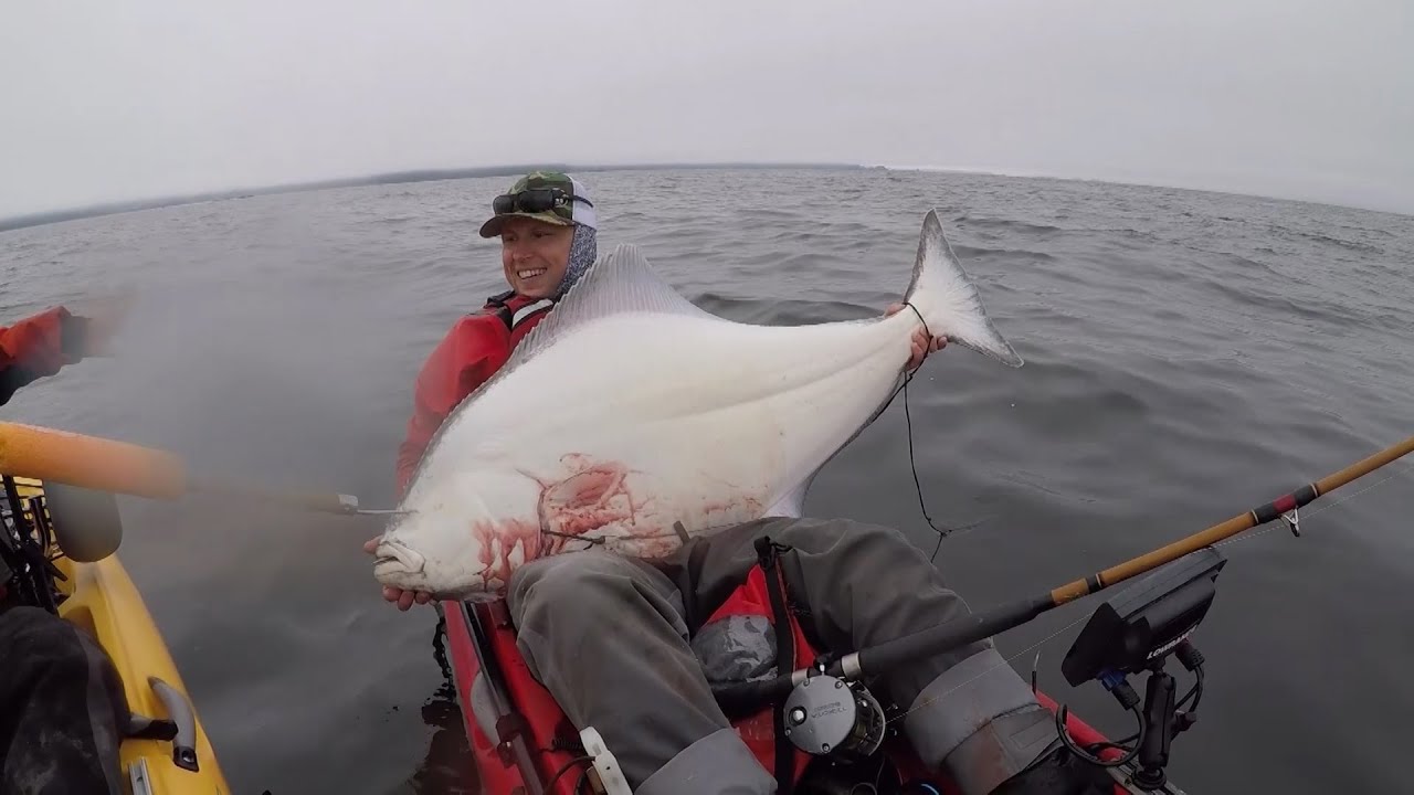 Northwest Kayak Fishing for Halibut 2019 HD