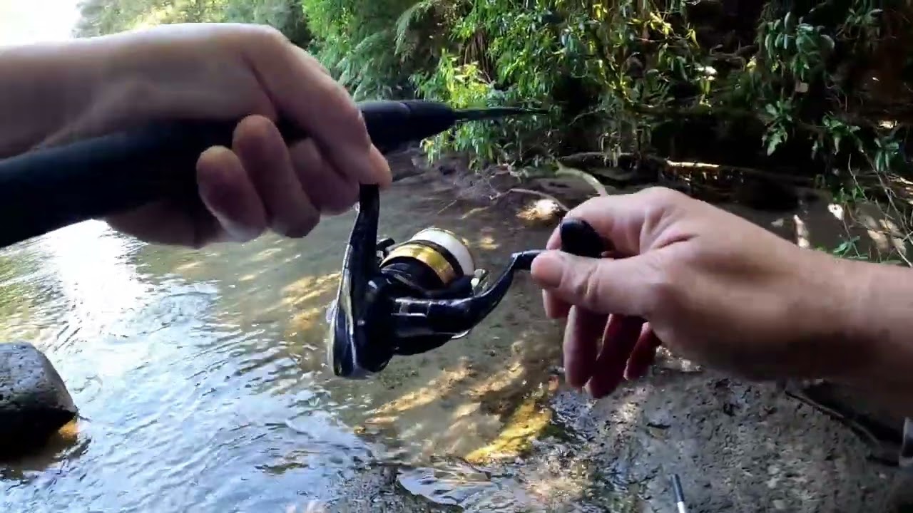 Fishing Kaituna part 1