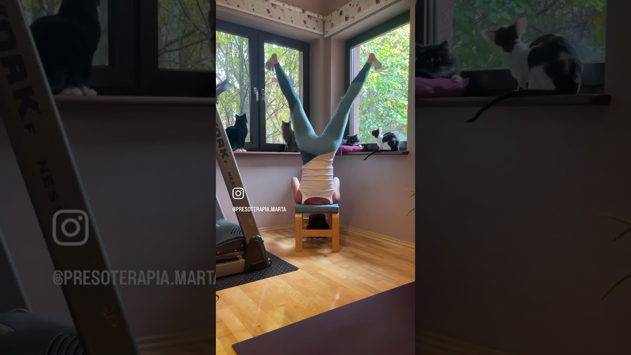 Systematyczne powtarzanie😁#joga #yoga #sirsasana #sirsasanavariation #cat #kota #sukces #masaż