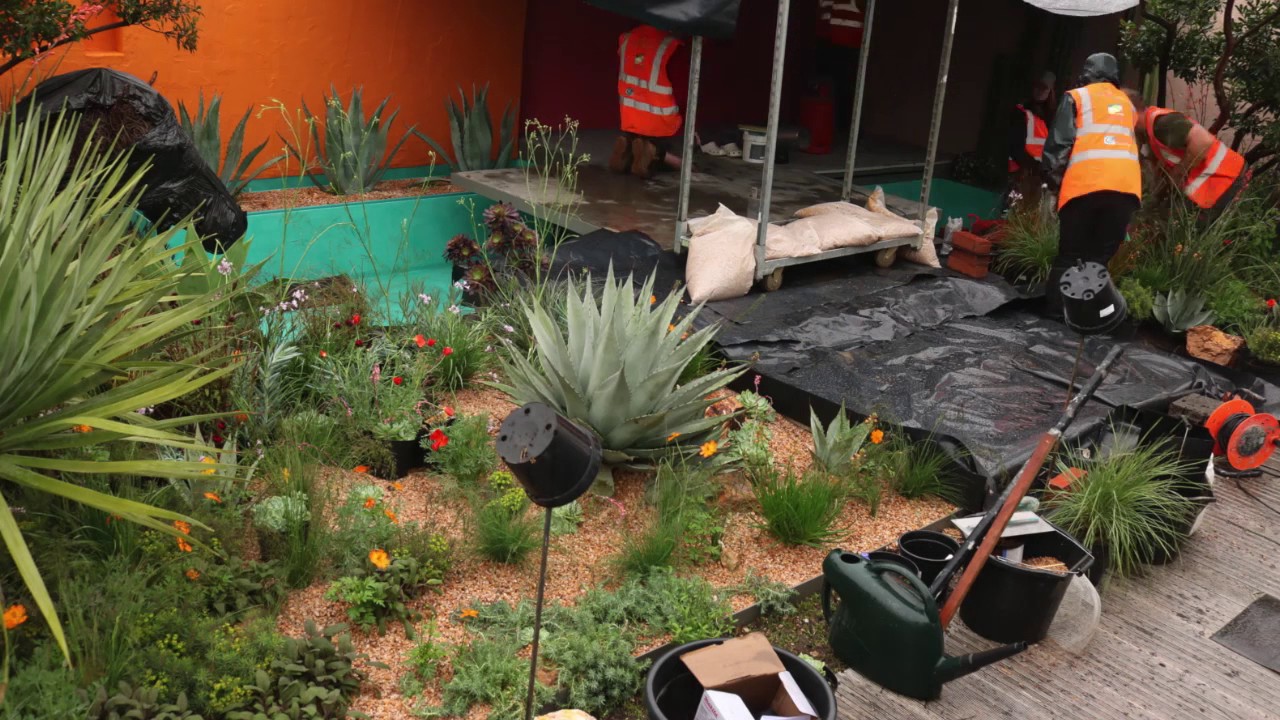 Beneath a Mexican Sky - Garden Creation