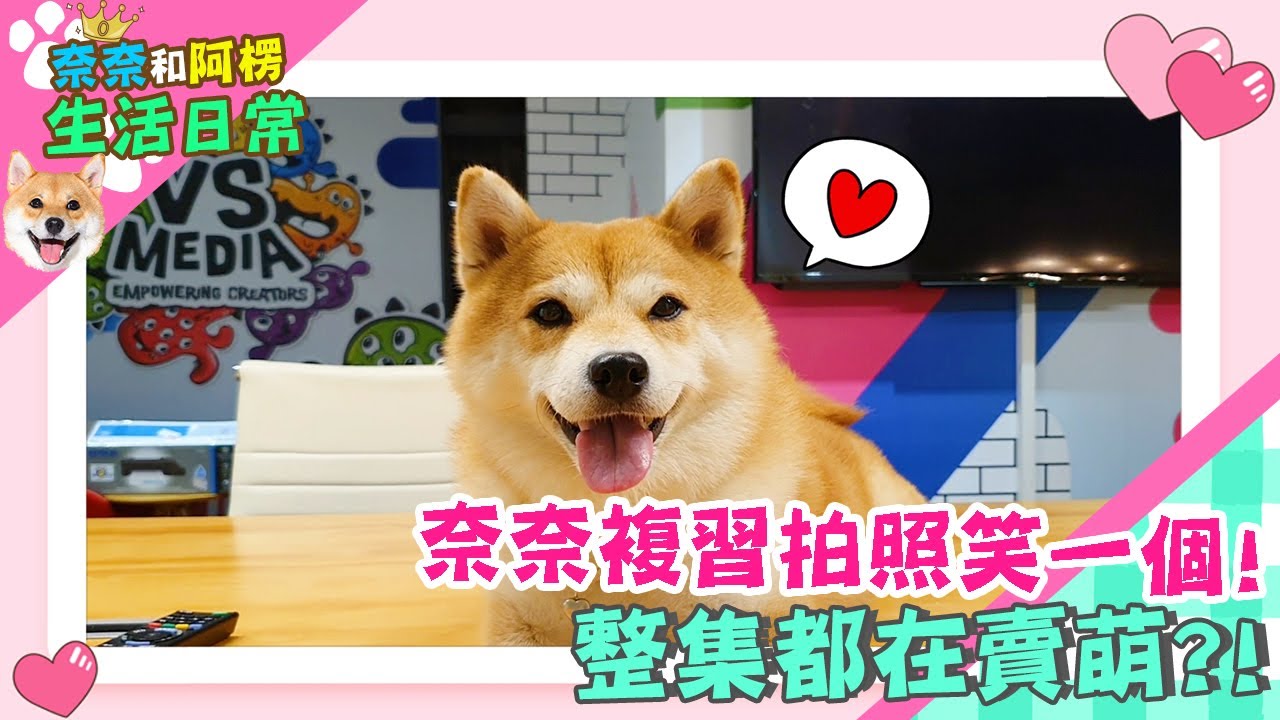 奈奈複習拍照笑一個!整集都在賣萌?!【奈奈賣萌日常】