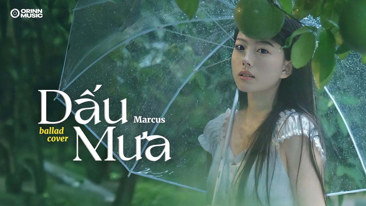 Mashup Dấu Mưa, Trót Yêu - Những Bản Ballad Triệu View | Playlist Nhạc Trẻ Ballad Gây Nghiện 2025