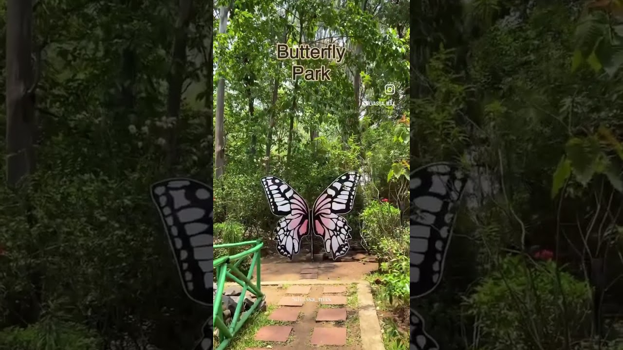 Butterfly park khanvel #silvassa