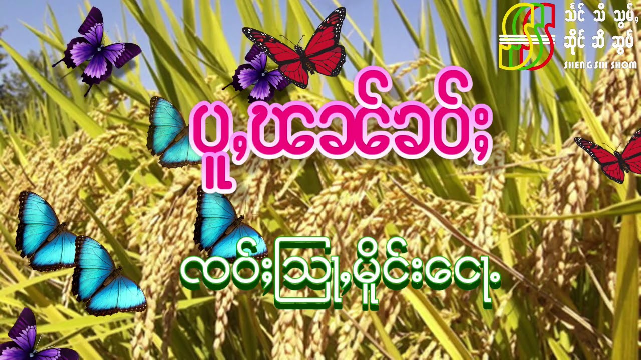 တြႃး ပူႇၽၼ်ၶဝ်ႈ ၸဝ်ႈသြႃႇမိူင်းငေႃႉ(ႁေႃး) စပါးစောင့်နတ် 稻神 rice god พระเจ้าข้าว