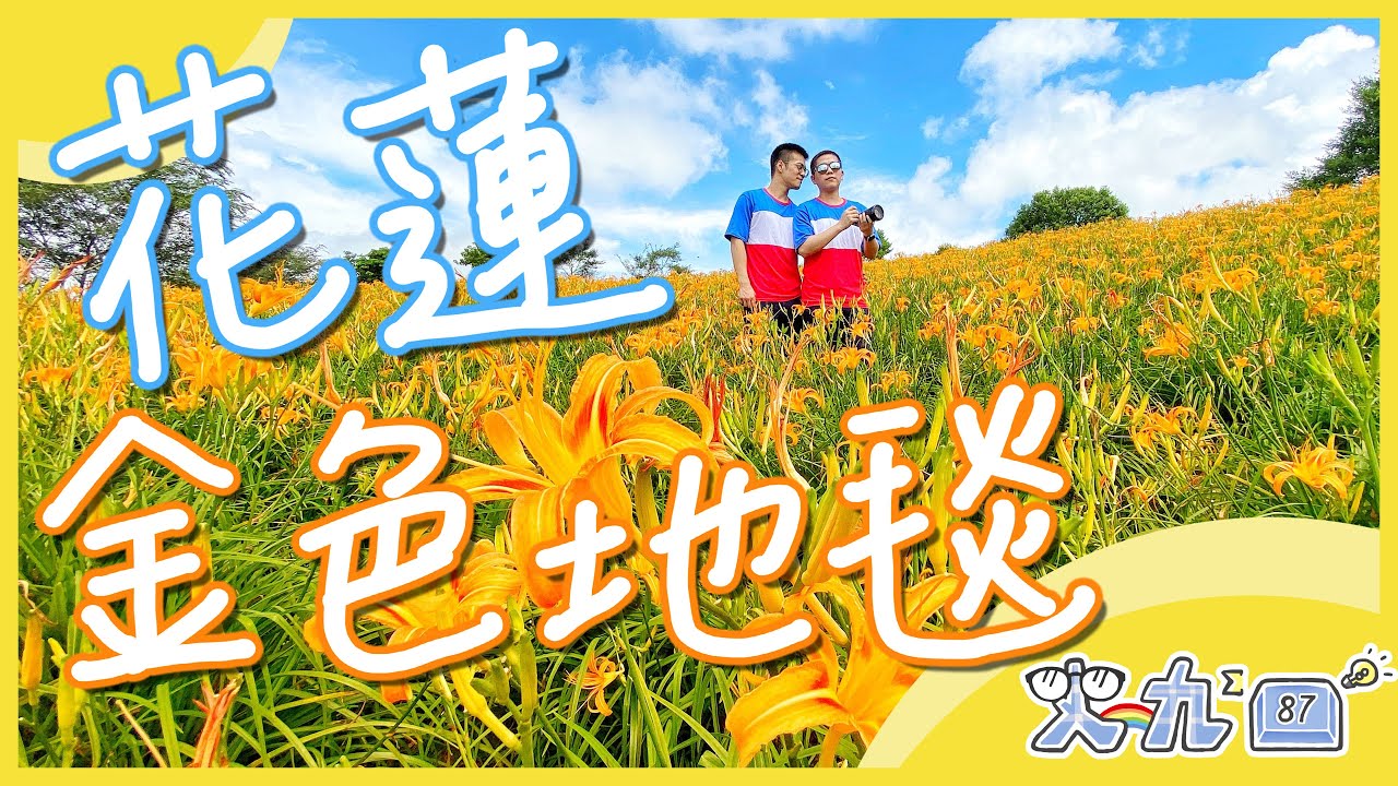 此生必來！花蓮的金黃色地毯 - 金針花海！ ｜史九87