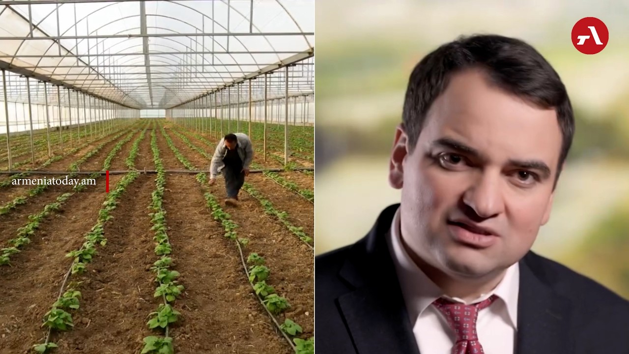 Նոյեմբերյանի ջերմոցային տնտեսությունները ձմռանը կապահովեն էժան միրգ և բանջարեղեն. Կարապետյան