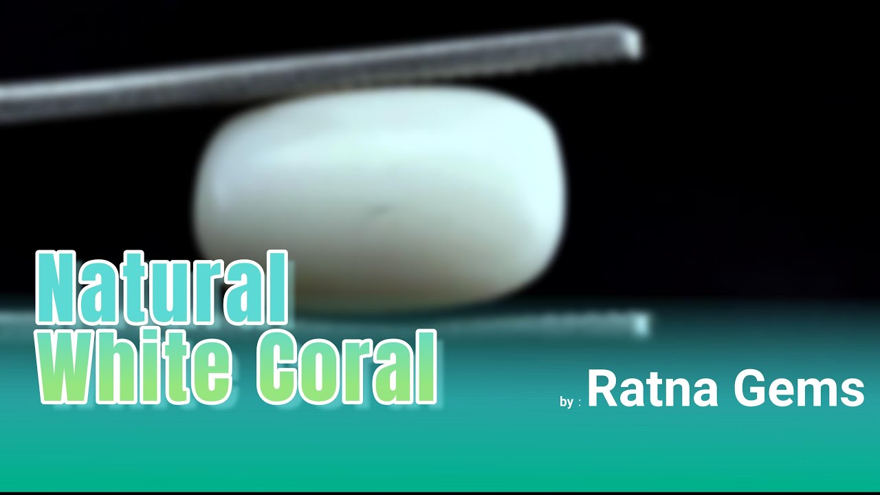 White Coral (Safed Moonga) 4.96 Carat - 5.45 Ratti | Certified Natural Moonga &ndash; Ratna Gems