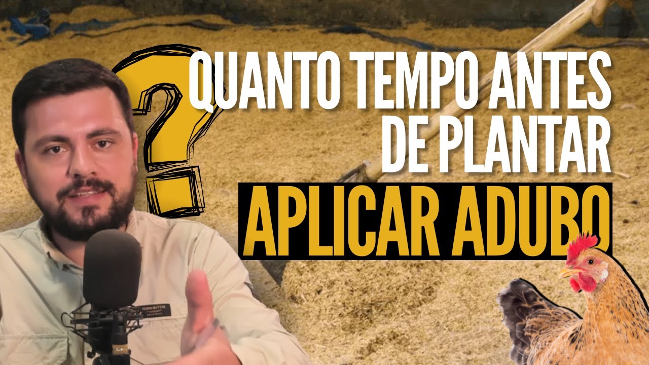 Quanto tempo antes de plantar, aplicar cama de frango ou outros adubos organicos