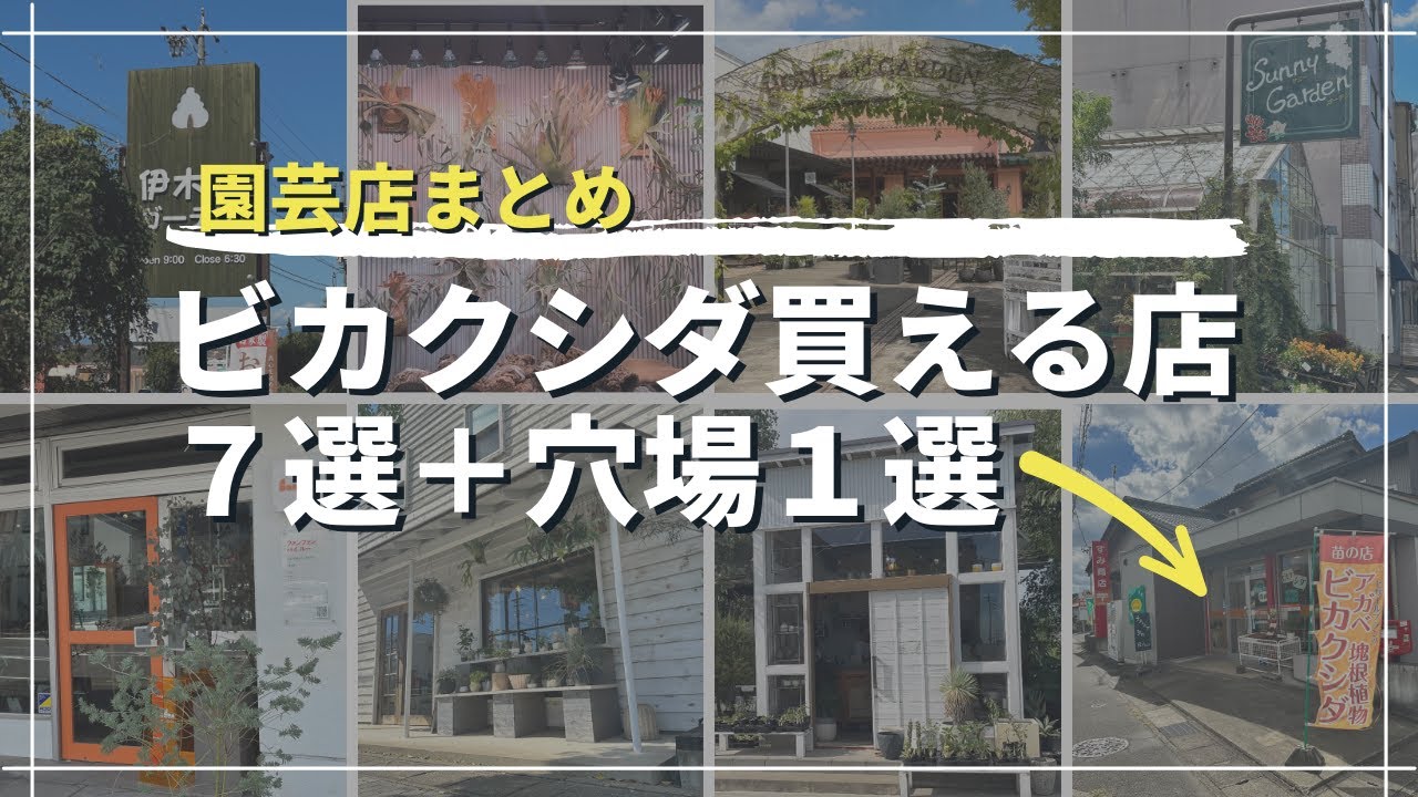 【園芸店巡り】岐阜市及び近郊で本当は教えたくない穴場店も紹介します！