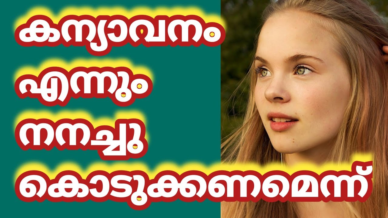 ഇല്ലെങ്കിൽ ഇങ്ങനെ സംഭവിക്കും |Motivational Life Stories 